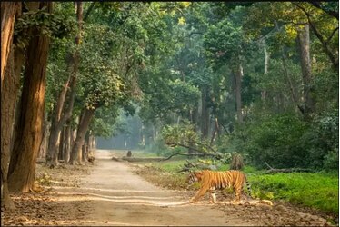 Jim Corbett